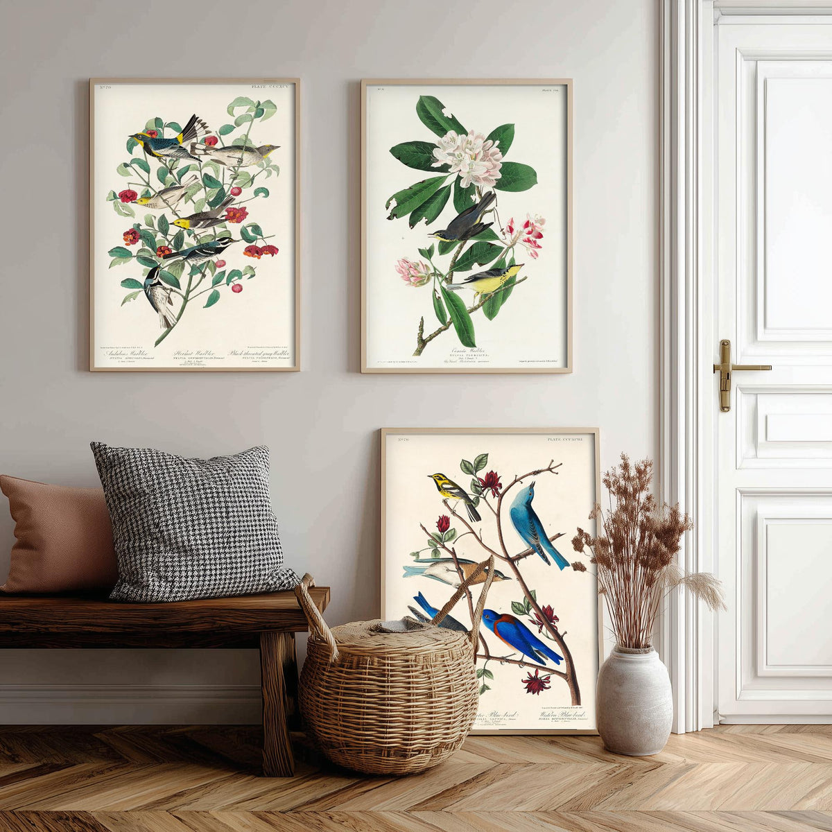 Set of Three John James Audubon Prints - Audubon's Canada Townsend's Warblers - 3 Bird Paintings Poster Wall Art Gift Illustration