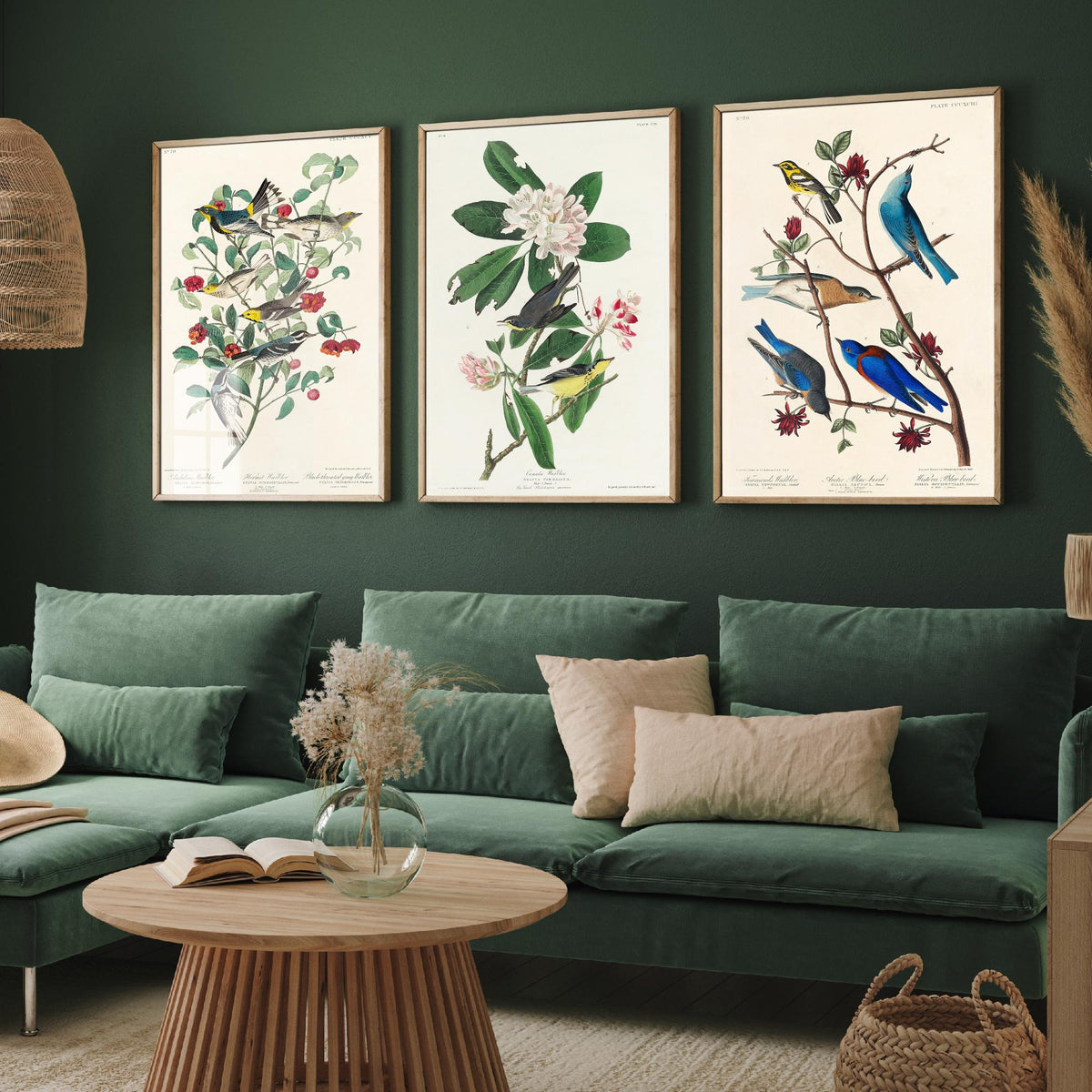 Set of Three John James Audubon Prints - Audubon's Canada Townsend's Warblers - 3 Bird Paintings Poster Wall Art Gift Illustration