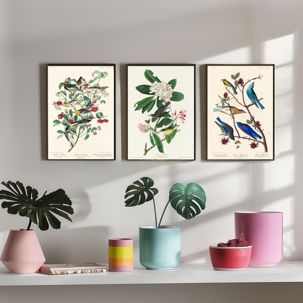 Set of Three John James Audubon Prints - Audubon's Canada Townsend's Warblers - 3 Bird Paintings Poster Wall Art Gift Illustration