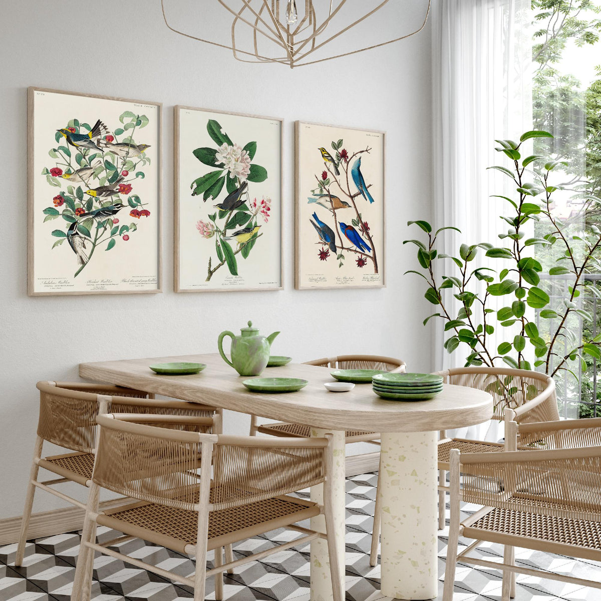 Set of Three John James Audubon Prints - Audubon's Canada Townsend's Warblers - 3 Bird Paintings Poster Wall Art Gift Illustration
