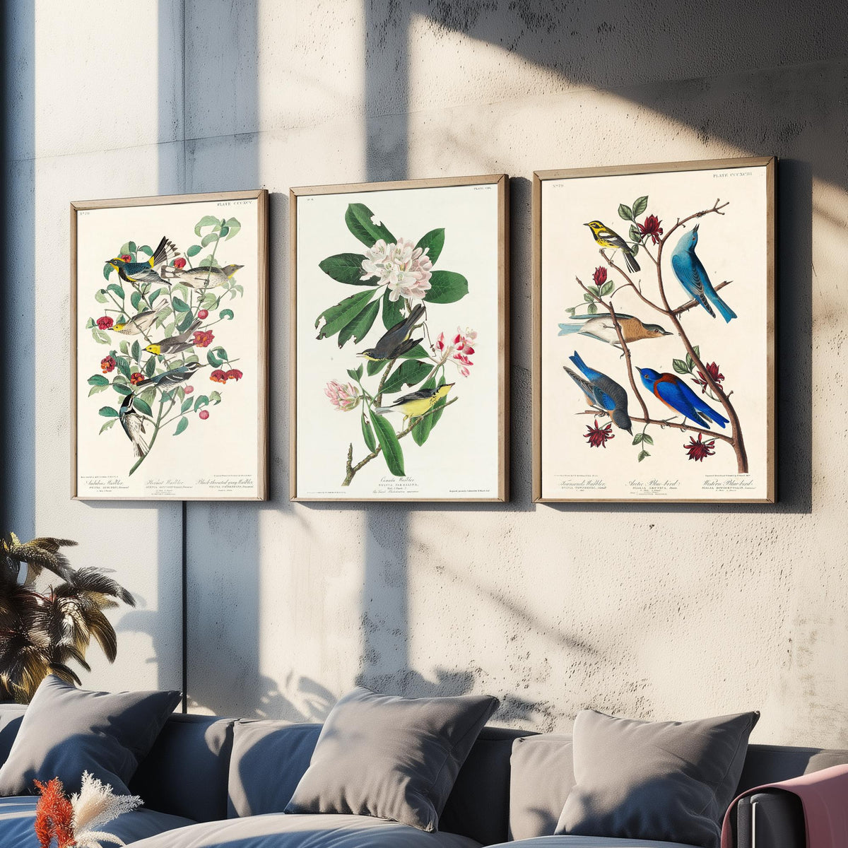 Set of Three John James Audubon Prints - Audubon's Canada Townsend's Warblers - 3 Bird Paintings Poster Wall Art Gift Illustration