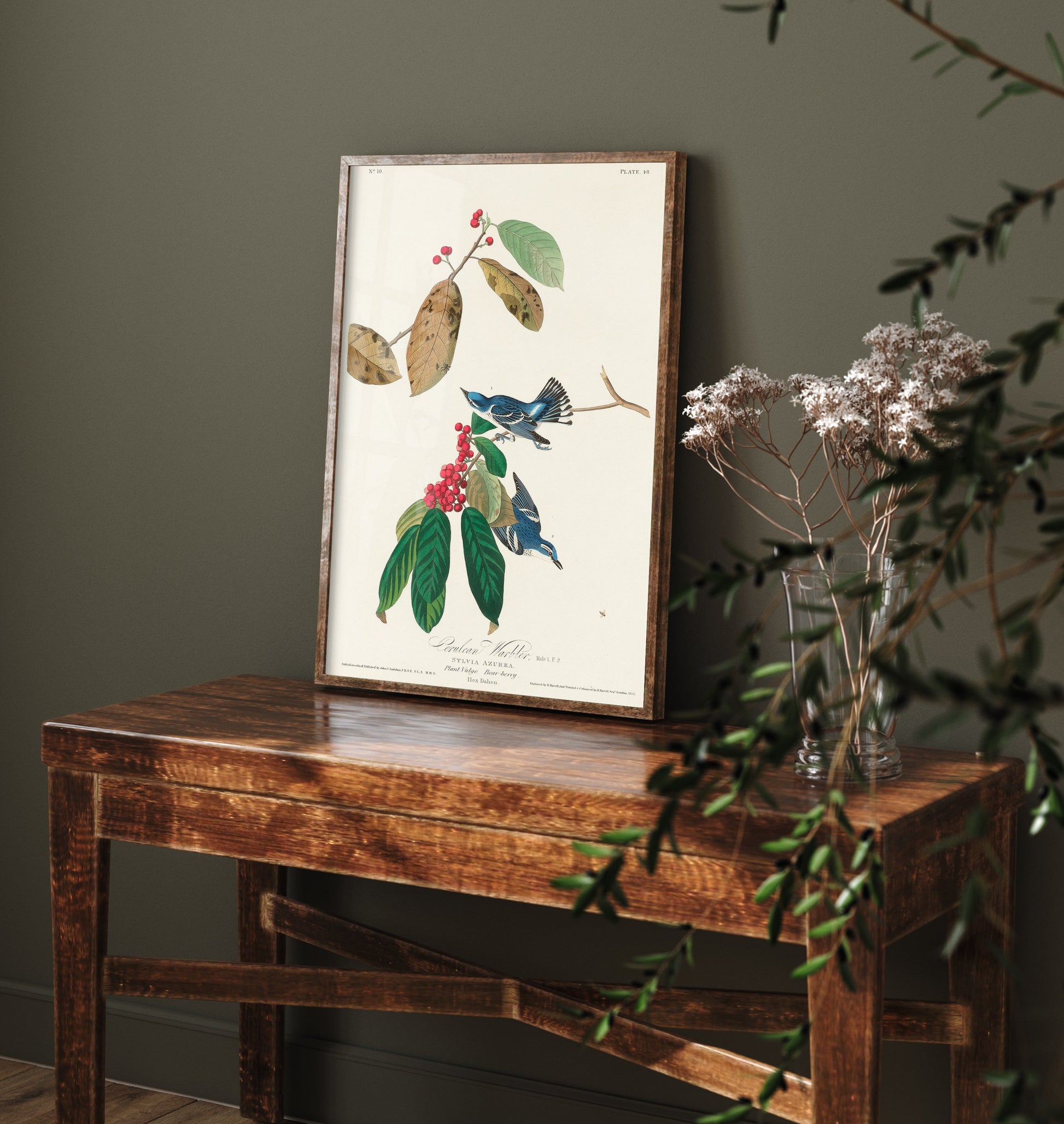 Cerulean Warbler Art Print - John James Audubon Poster - Azure Warbler Birds of America Illustration