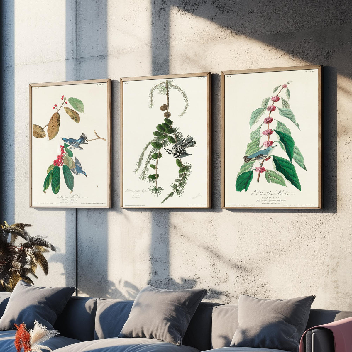 Set of Three John James Audubon Prints - Cerulean Black-and-white Blue-Green Warblers - 3 Bird Paintings Poster Wall Art Illustration