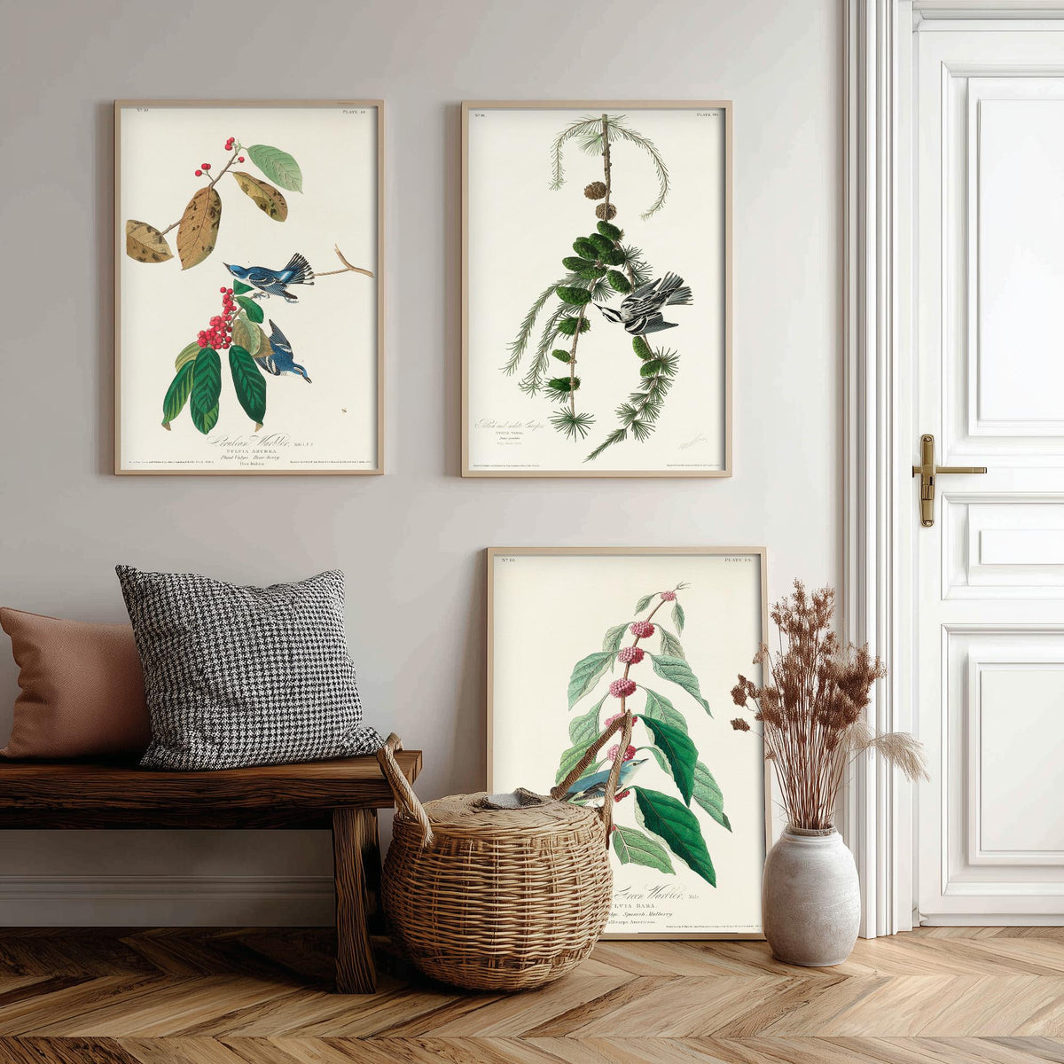 Set of Three John James Audubon Prints - Cerulean Black-and-white Blue-Green Warblers - 3 Bird Paintings Poster Wall Art Illustration