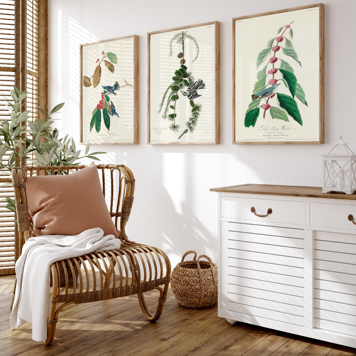 Set of Three John James Audubon Prints - Cerulean Black-and-white Blue-Green Warblers - 3 Bird Paintings Poster Wall Art Illustration