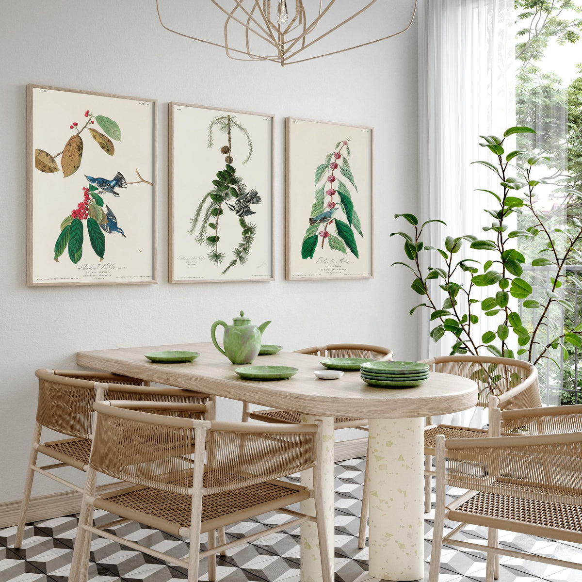Set of Three John James Audubon Prints - Cerulean Black-and-white Blue-Green Warblers - 3 Bird Paintings Poster Wall Art Illustration