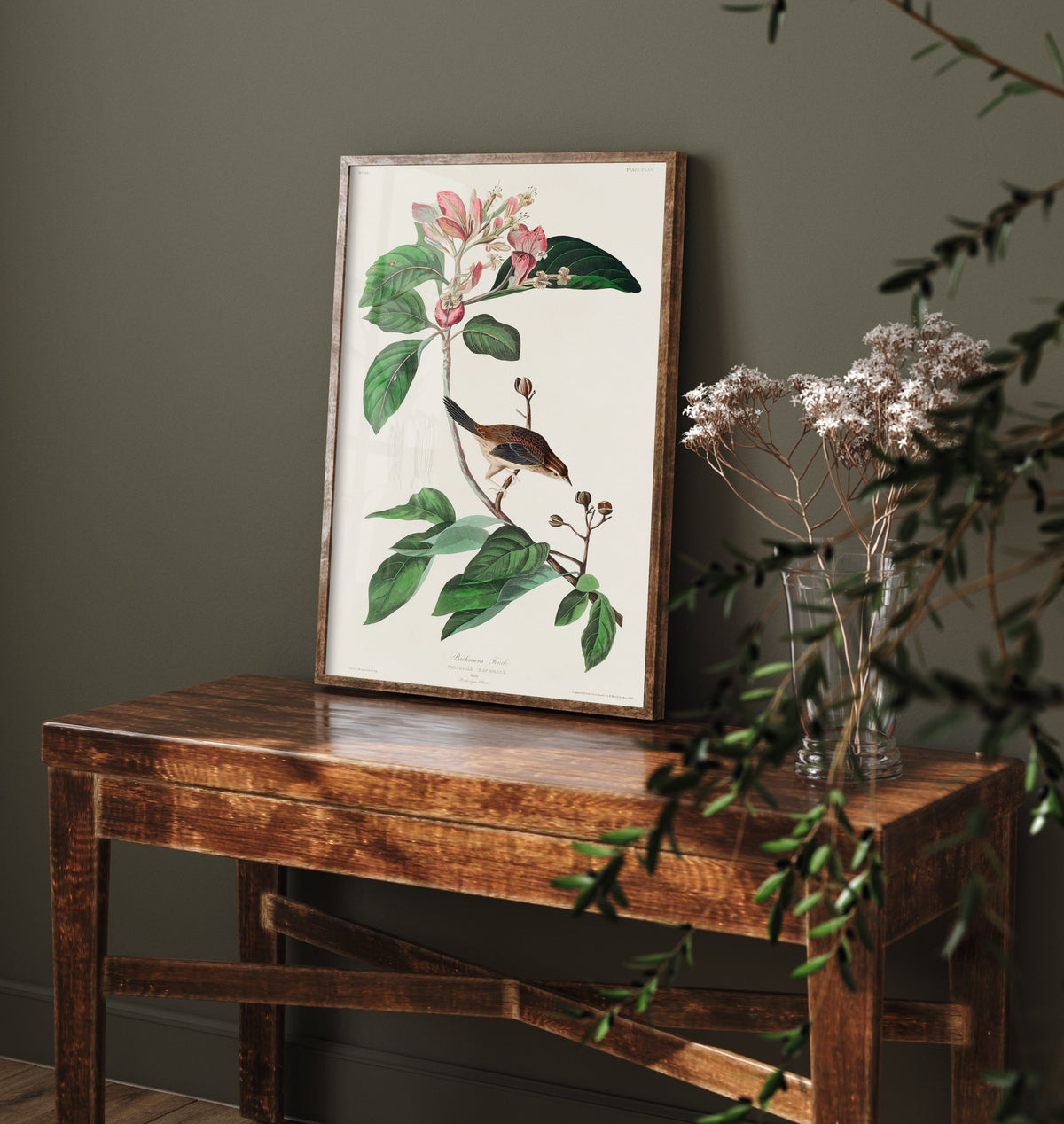 Bachman's Sparrow Art Print - John James Audubon Poster - Birds of America Vintage Illustration