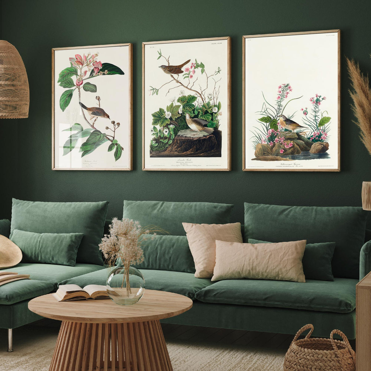 Set of Three John James Audubon Prints - Bachman's Lincoln's Grasshopper Sparrows - 3 Bird Paintings Poster Wall Art Gift Ornithology