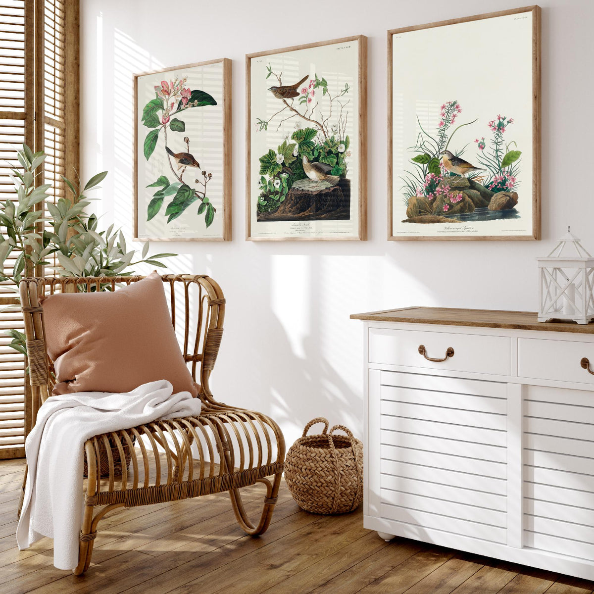 Set of Three John James Audubon Prints - Bachman's Lincoln's Grasshopper Sparrows - 3 Bird Paintings Poster Wall Art Gift Ornithology