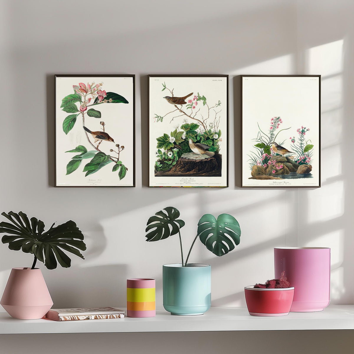 Set of Three John James Audubon Prints - Bachman's Lincoln's Grasshopper Sparrows - 3 Bird Paintings Poster Wall Art Gift Ornithology
