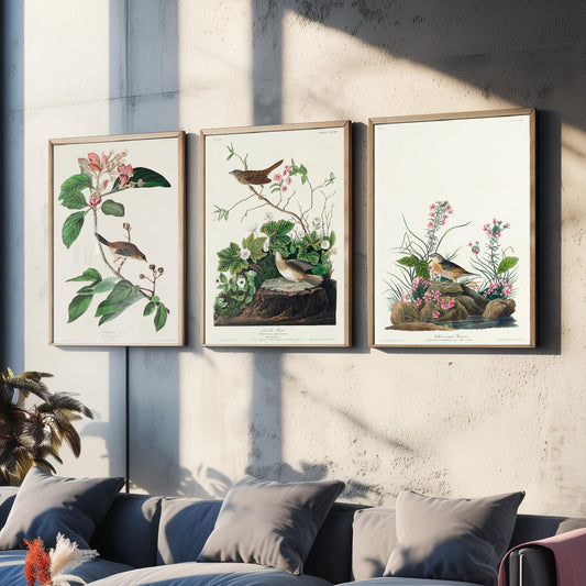Set of Three John James Audubon Prints - Bachman's Lincoln's Grasshopper Sparrows - 3 Bird Paintings Poster Wall Art Gift Ornithology