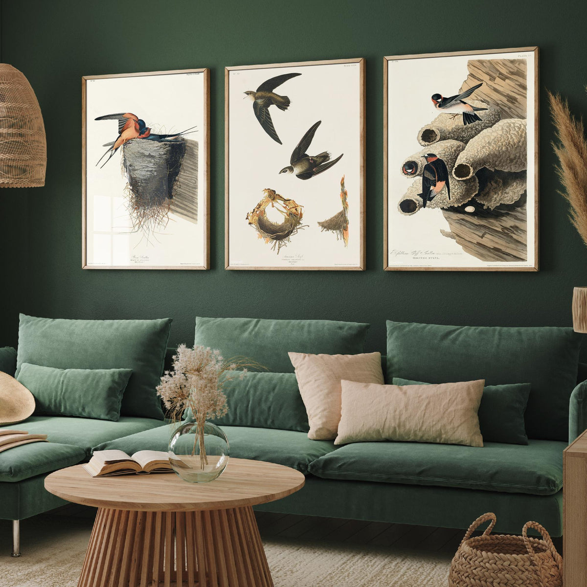 Set of Three John James Audubon Prints - Barn Swallow Chimney Swift Cliff Swallow - 3 Bird Paintings Poster Wall Art Gift Ornithology