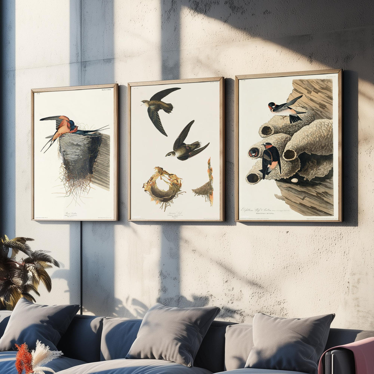 Set of Three John James Audubon Prints - Barn Swallow Chimney Swift Cliff Swallow - 3 Bird Paintings Poster Wall Art Gift Ornithology