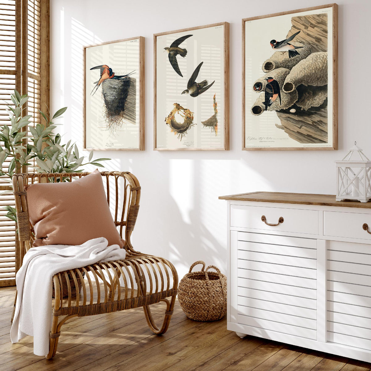 Set of Three John James Audubon Prints - Barn Swallow Chimney Swift Cliff Swallow - 3 Bird Paintings Poster Wall Art Gift Ornithology