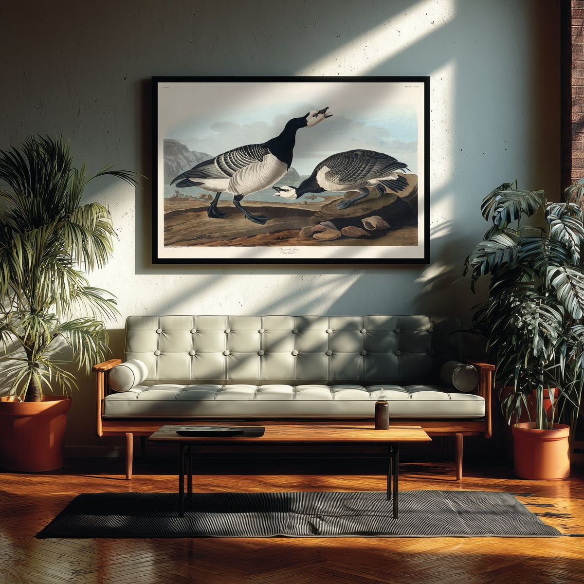 Barnacle Goose Art Print - John James Audubon Poster - Birds of America Vintage Illustration