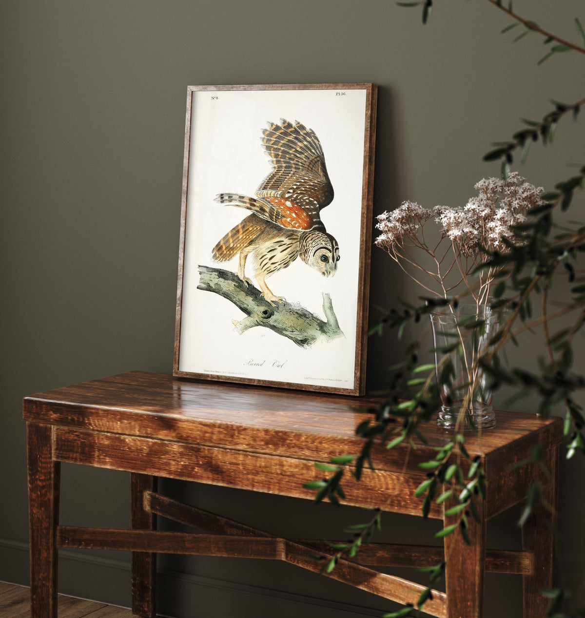 Barred Owl Art Print - John James Audubon Poster - Birds of America Vintage Illustration