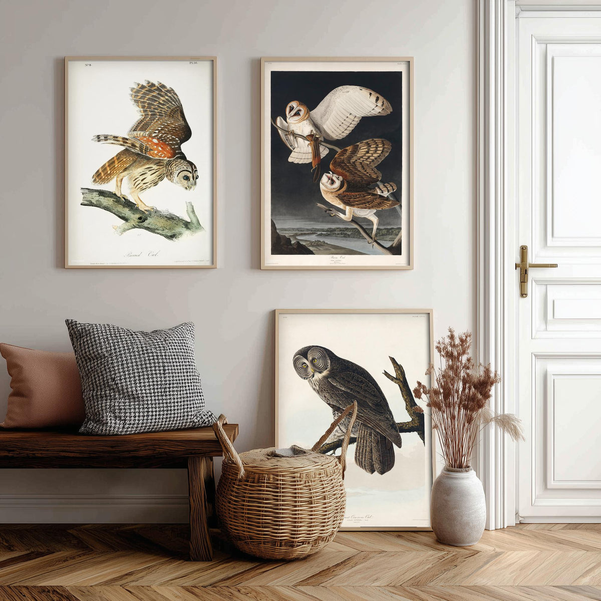 Set of Three John James Audubon Prints - Barred Owl Barn Owl Great Gray Owl - 3 Bird Paintings Poster Wall Art Gift Ornithology