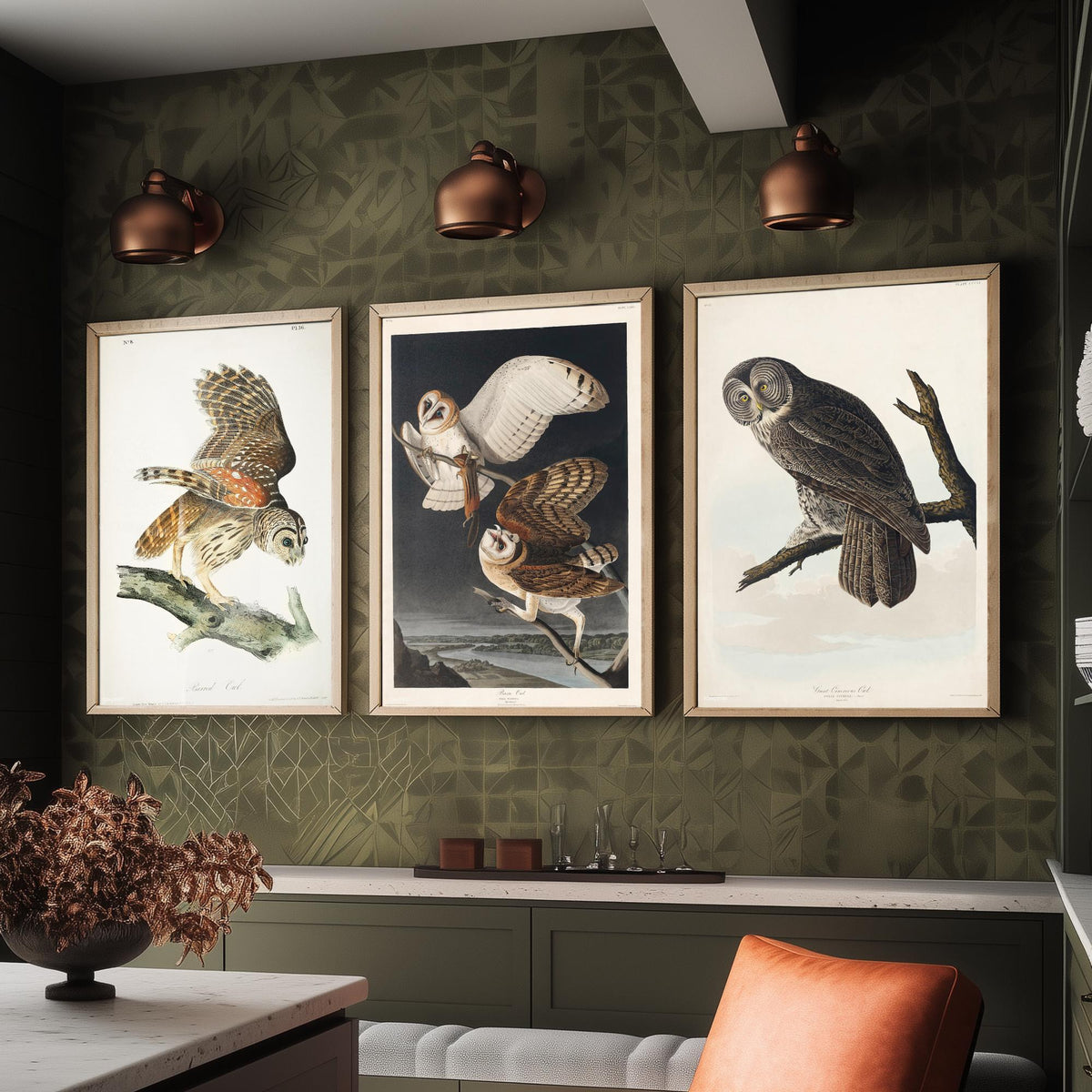 Set of Three John James Audubon Prints - Barred Owl Barn Owl Great Gray Owl - 3 Bird Paintings Poster Wall Art Gift Ornithology