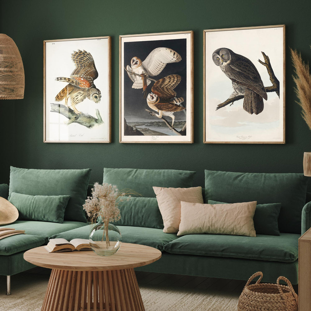 Set of Three John James Audubon Prints - Barred Owl Barn Owl Great Gray Owl - 3 Bird Paintings Poster Wall Art Gift Ornithology