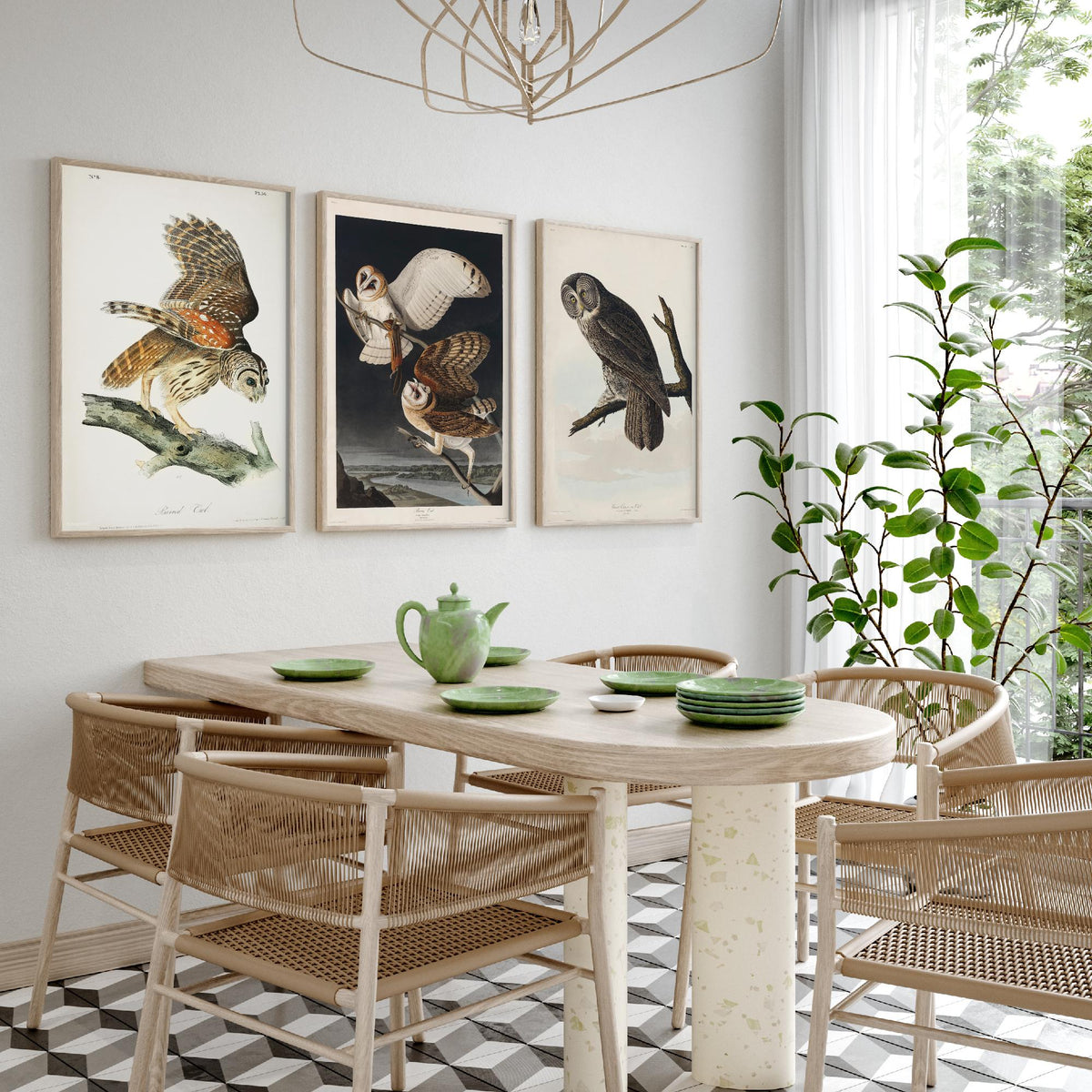 Set of Three John James Audubon Prints - Barred Owl Barn Owl Great Gray Owl - 3 Bird Paintings Poster Wall Art Gift Ornithology