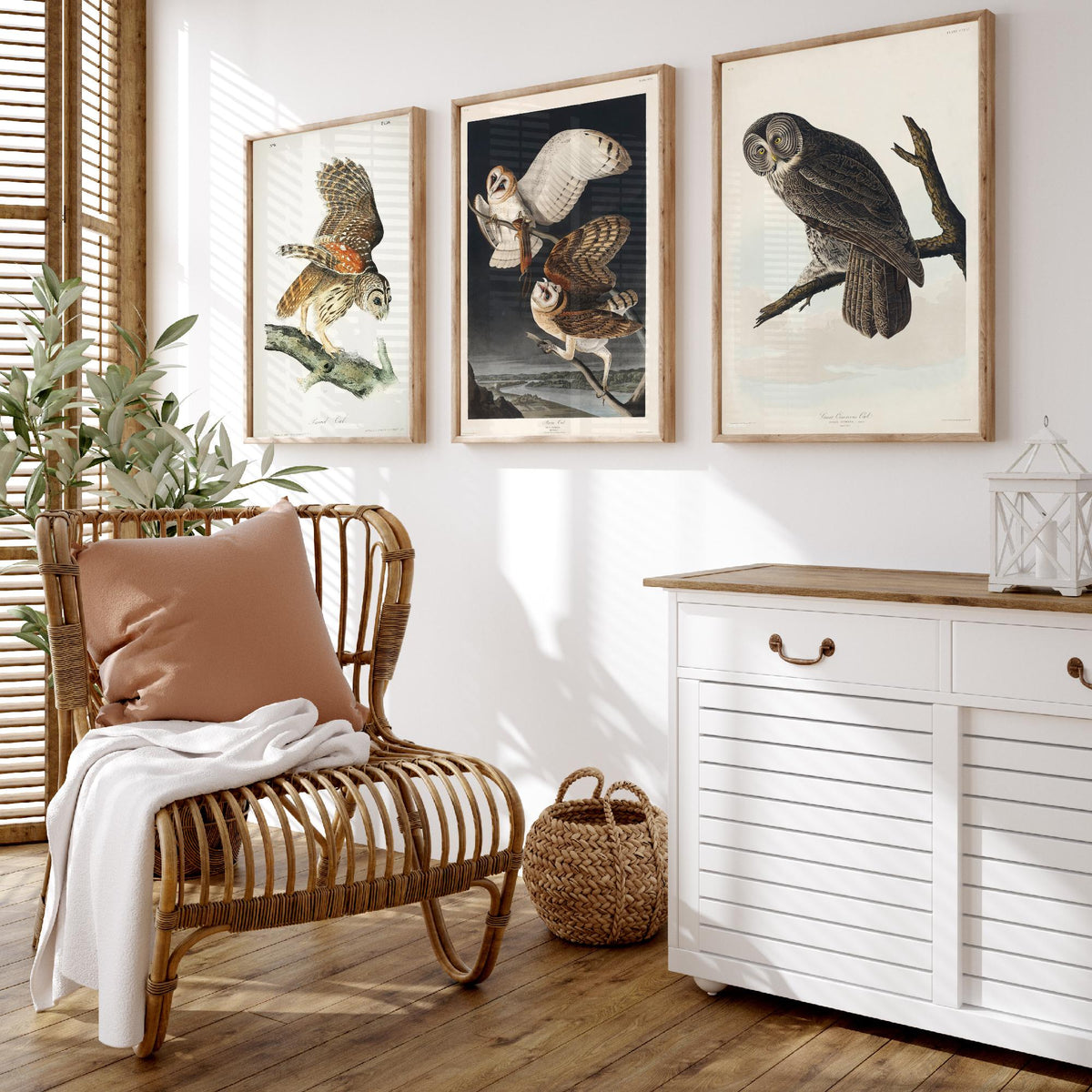 Set of Three John James Audubon Prints - Barred Owl Barn Owl Great Gray Owl - 3 Bird Paintings Poster Wall Art Gift Ornithology