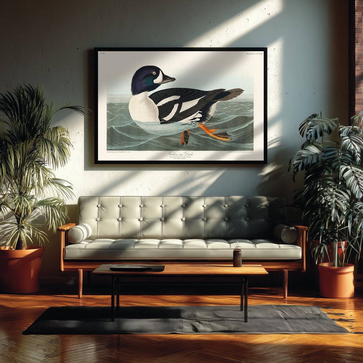 Barrow's Goldeneye Duck Art Print - John James Audubon Poster - Birds of America Vintage Illustration