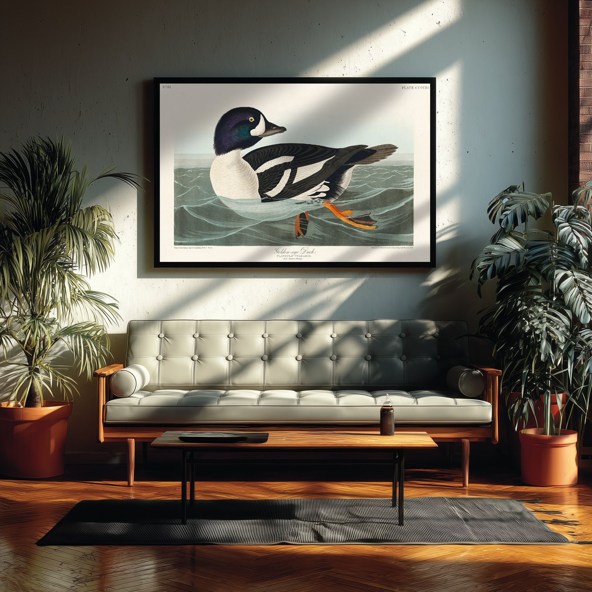 Barrow's Goldeneye Duck Art Print - John James Audubon Poster - Birds of America Vintage Illustration