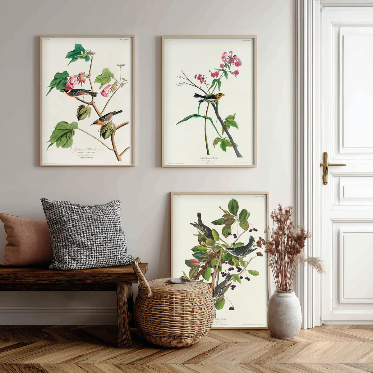 Set of Three John James Audubon Prints - Bay-breasted Blackburnian Blackpoll Warblers - 3 Bird Paintings Poster Wall Art Illustration