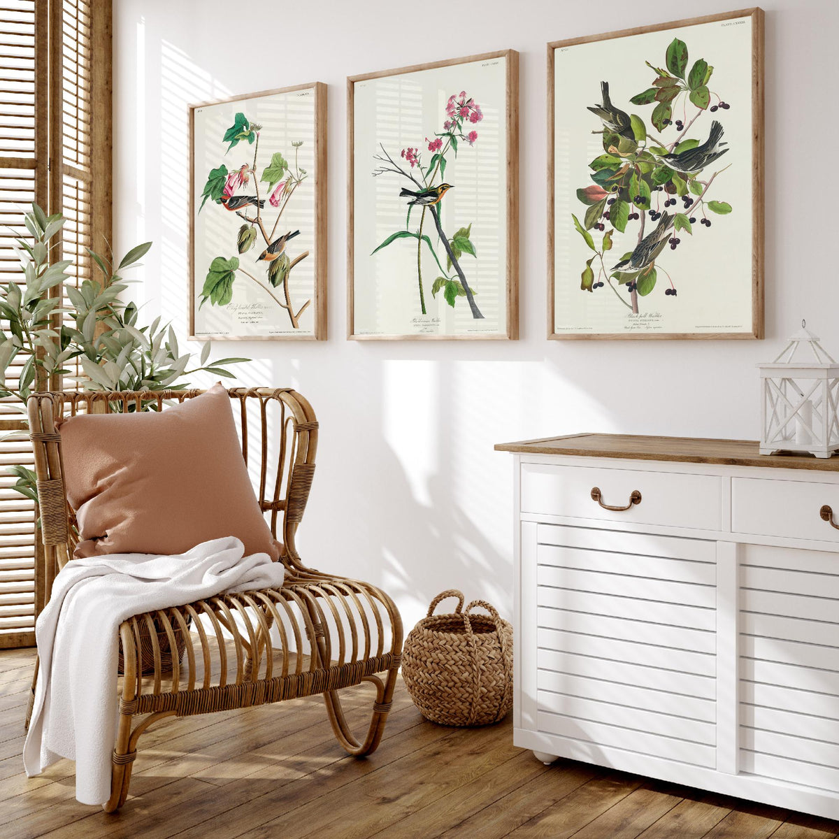 Set of Three John James Audubon Prints - Bay-breasted Blackburnian Blackpoll Warblers - 3 Bird Paintings Poster Wall Art Illustration