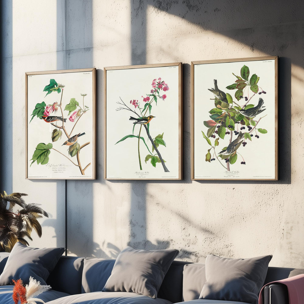 Set of Three John James Audubon Prints - Bay-breasted Blackburnian Blackpoll Warblers - 3 Bird Paintings Poster Wall Art Illustration