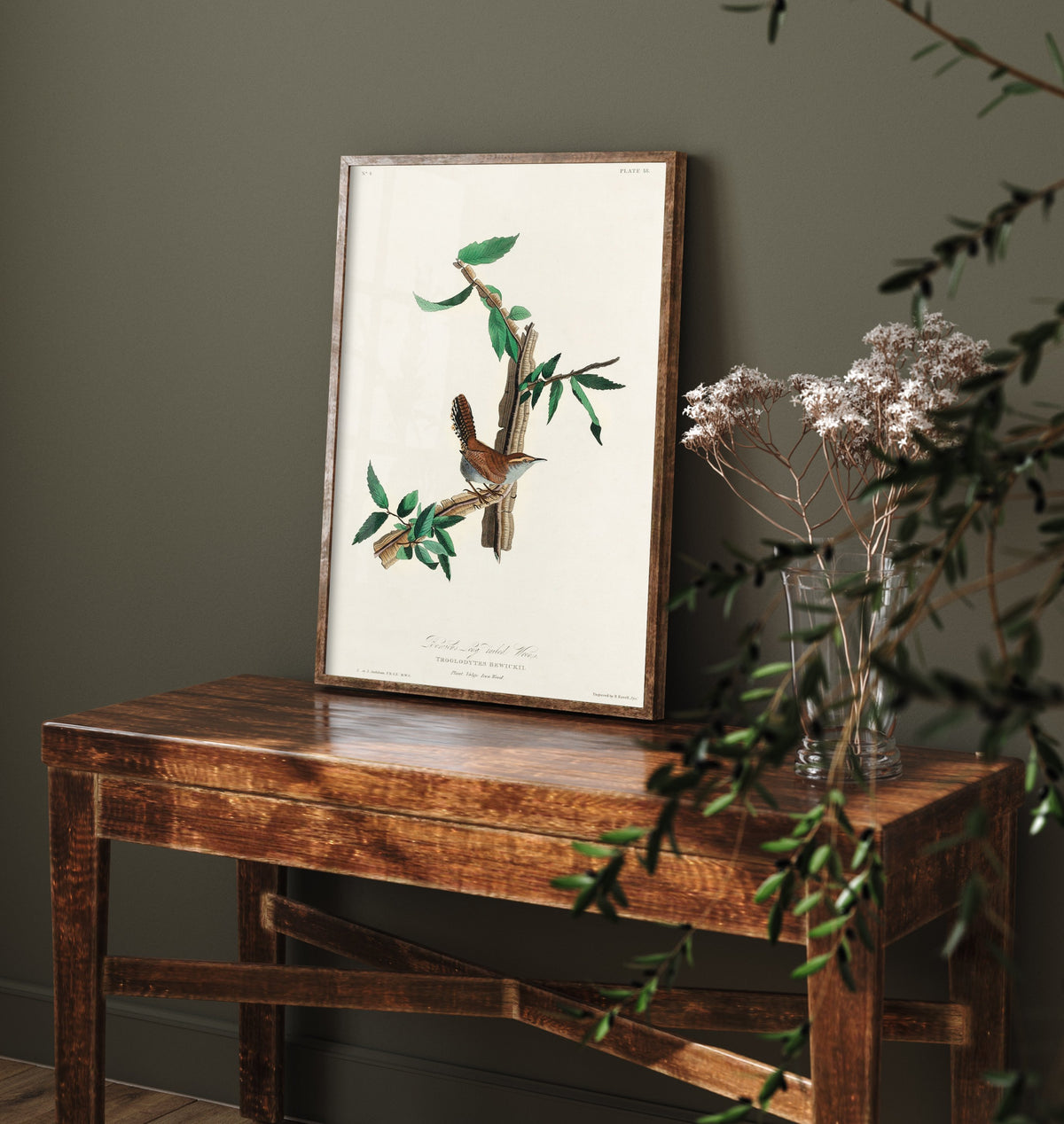 Bewick's Wren Art Print - John James Audubon Poster - Birds of America Vintage Illustration