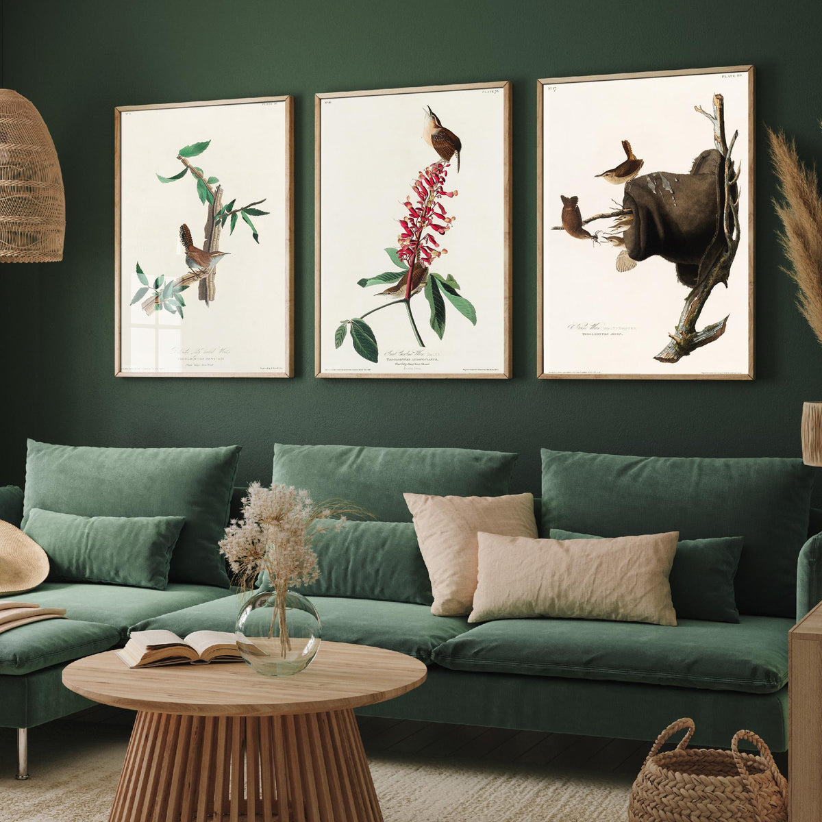 Set of Three John James Audubon Prints - Bewick's Carolina House Wrens - 3 Bird Paintings Poster Wall Art Gift Vintage Ornithology