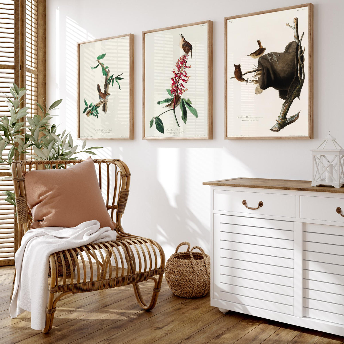 Set of Three John James Audubon Prints - Bewick's Carolina House Wrens - 3 Bird Paintings Poster Wall Art Gift Vintage Ornithology