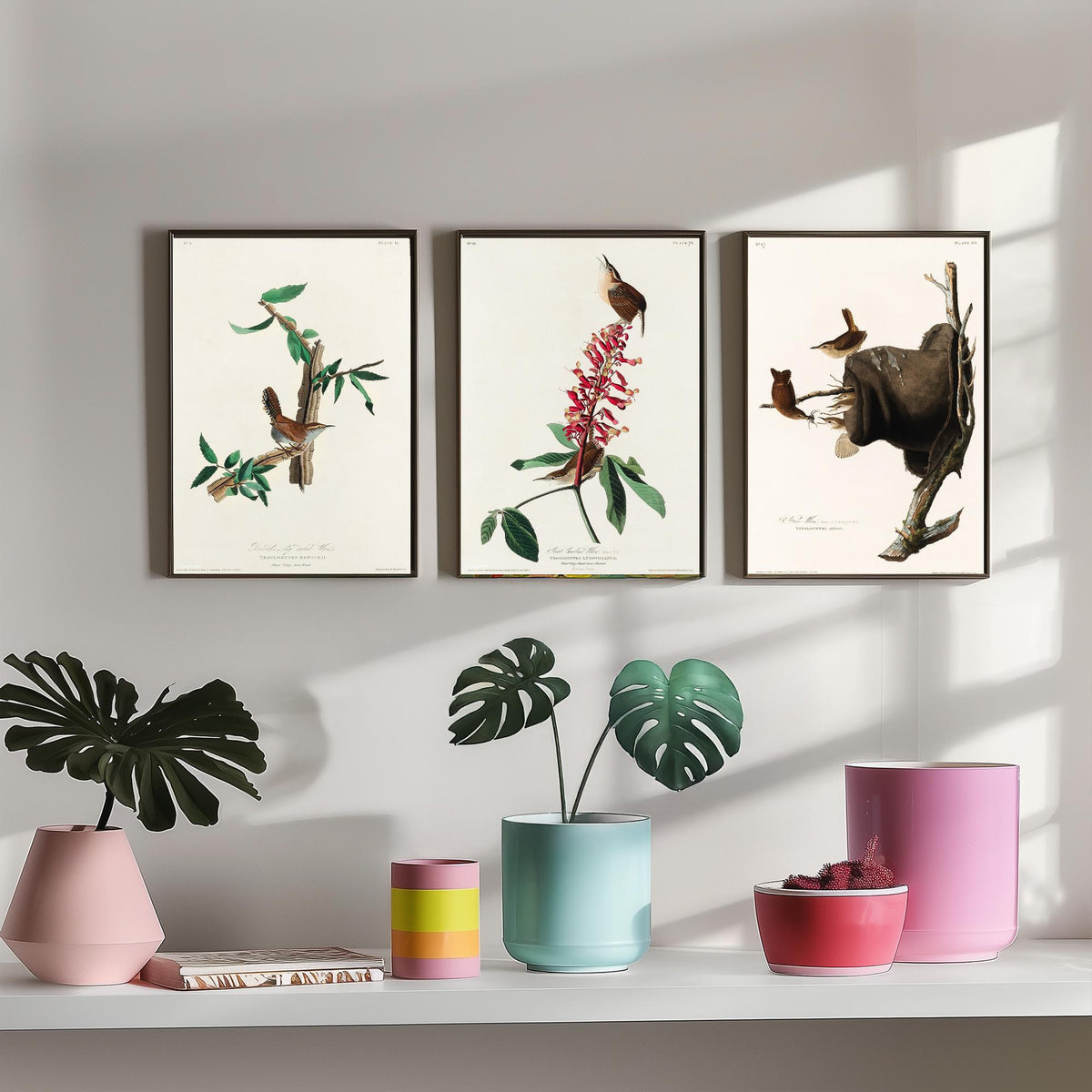 Set of Three John James Audubon Prints - Bewick's Carolina House Wrens - 3 Bird Paintings Poster Wall Art Gift Vintage Ornithology