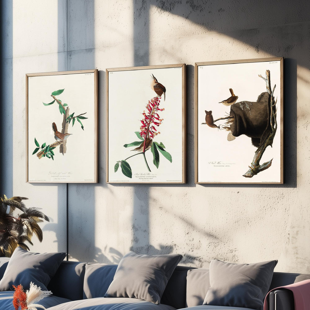 Set of Three John James Audubon Prints - Bewick's Carolina House Wrens - 3 Bird Paintings Poster Wall Art Gift Vintage Ornithology