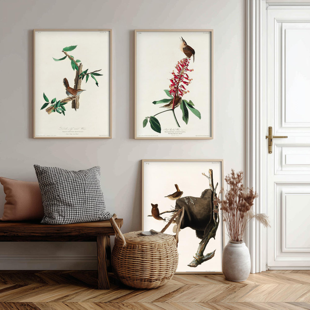 Set of Three John James Audubon Prints - Bewick's Carolina House Wrens - 3 Bird Paintings Poster Wall Art Gift Vintage Ornithology