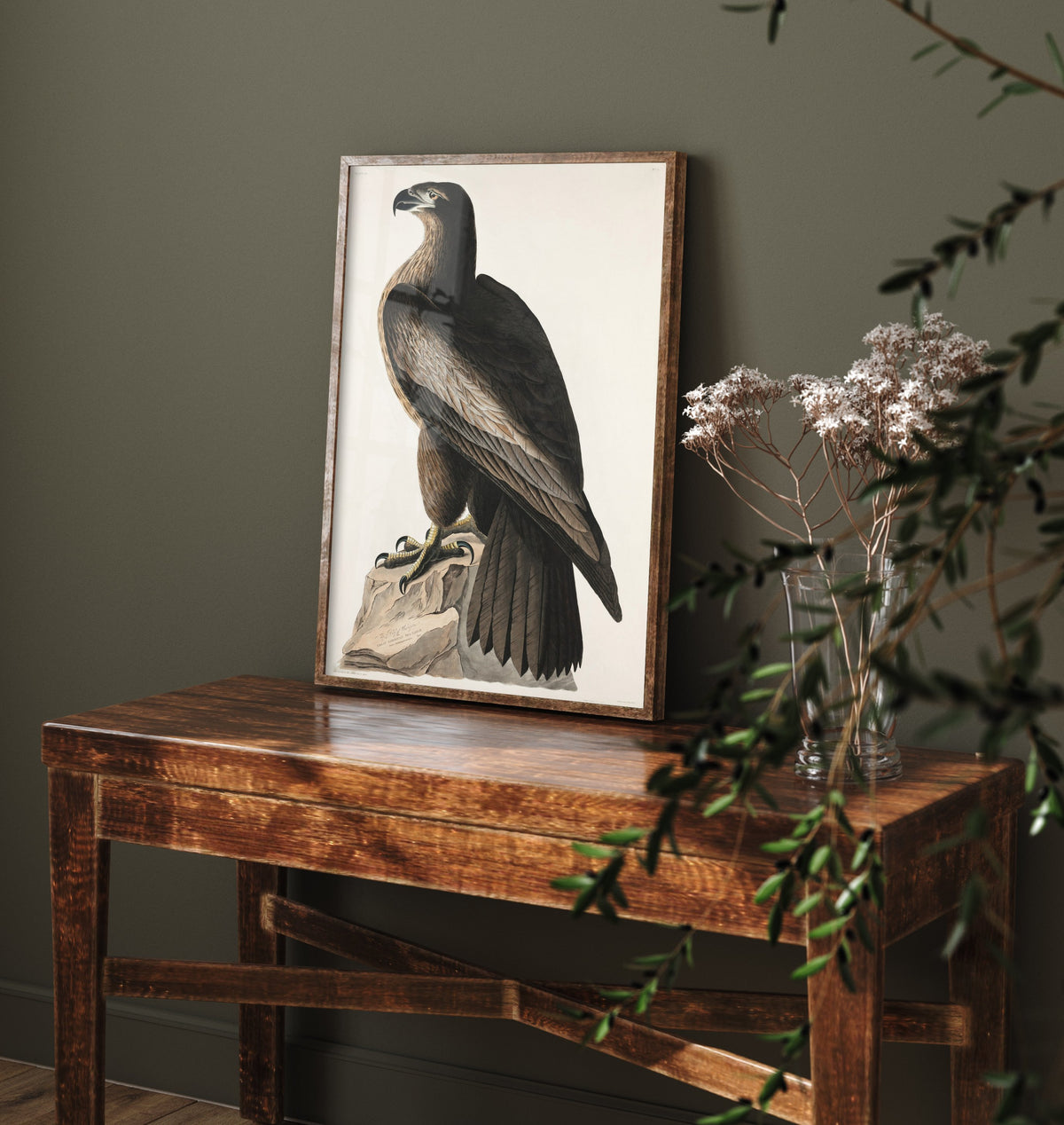 Bald Eagle Art Print - John James Audubon Poster - Birds of America Vintage Illustration