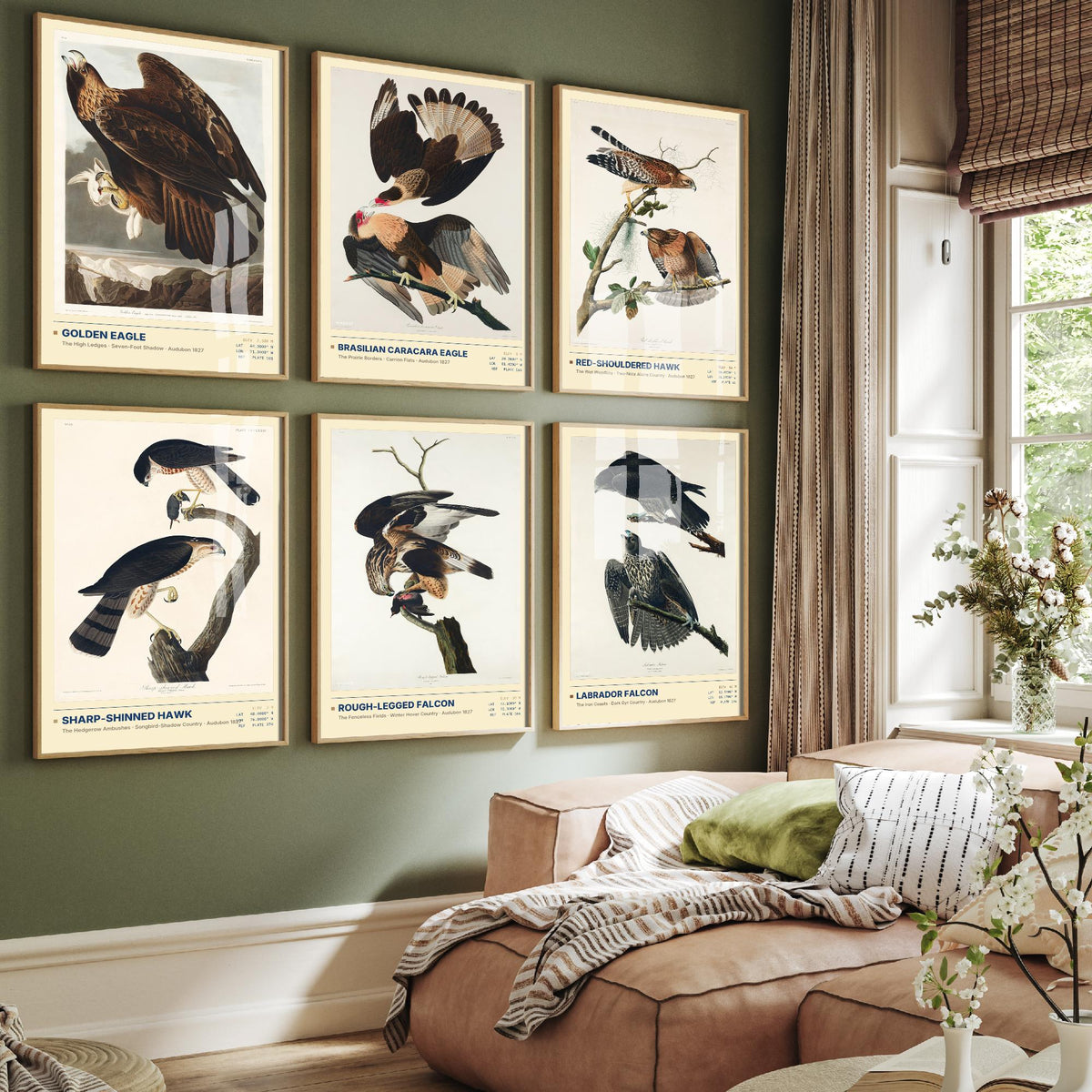Set of Six Audubon Birds of Prey Illustrations - 6 Hawk and Falcon Art Prints - Golden Eagle, Red-Shouldered Hawk, Labrador Falcon Posters