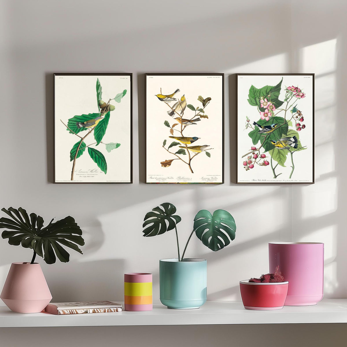 Set of Three Audubon Bird Prints - Swainson's Black-throated Green and Black and Yellow Warblers - 3 Bird Paintings Poster Wall Art