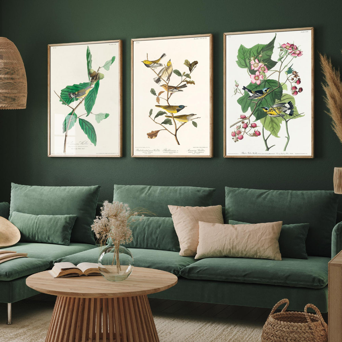 Set of Three Audubon Bird Prints - Swainson's Black-throated Green and Black and Yellow Warblers - 3 Bird Paintings Poster Wall Art