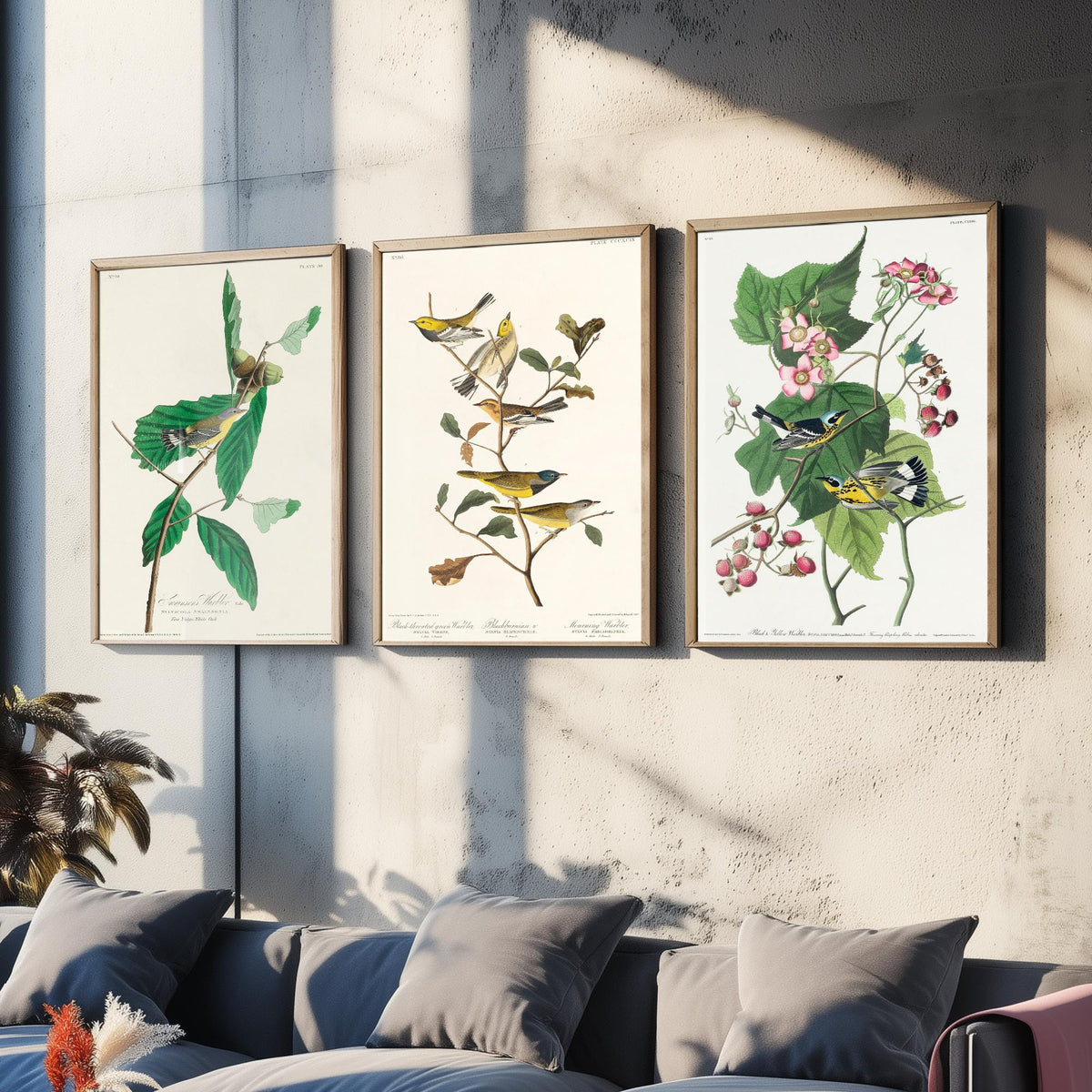 Set of Three Audubon Bird Prints - Swainson's Black-throated Green and Black and Yellow Warblers - 3 Bird Paintings Poster Wall Art