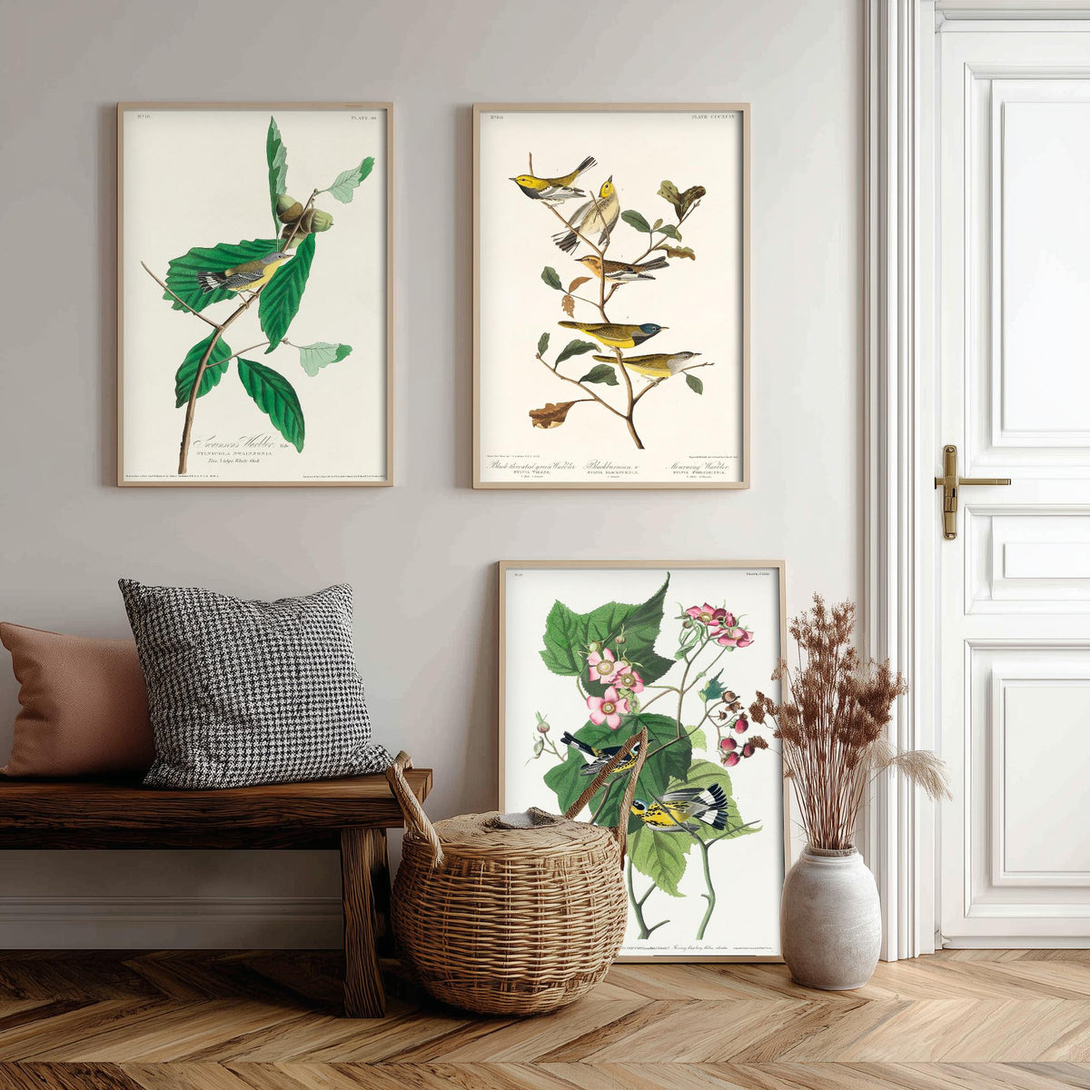 Set of Three Audubon Bird Prints - Swainson's Black-throated Green and Black and Yellow Warblers - 3 Bird Paintings Poster Wall Art