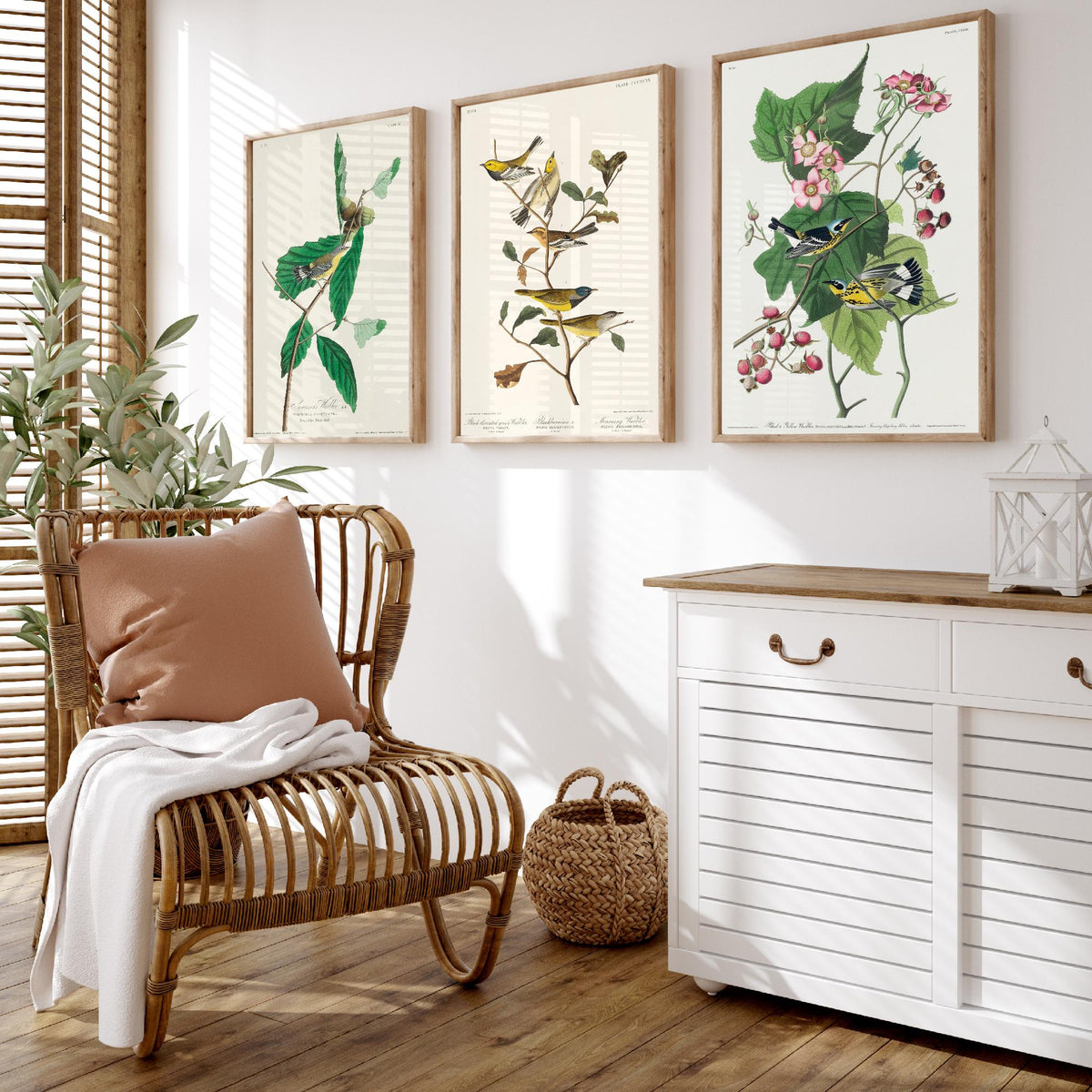 Set of Three Audubon Bird Prints - Swainson's Black-throated Green and Black and Yellow Warblers - 3 Bird Paintings Poster Wall Art