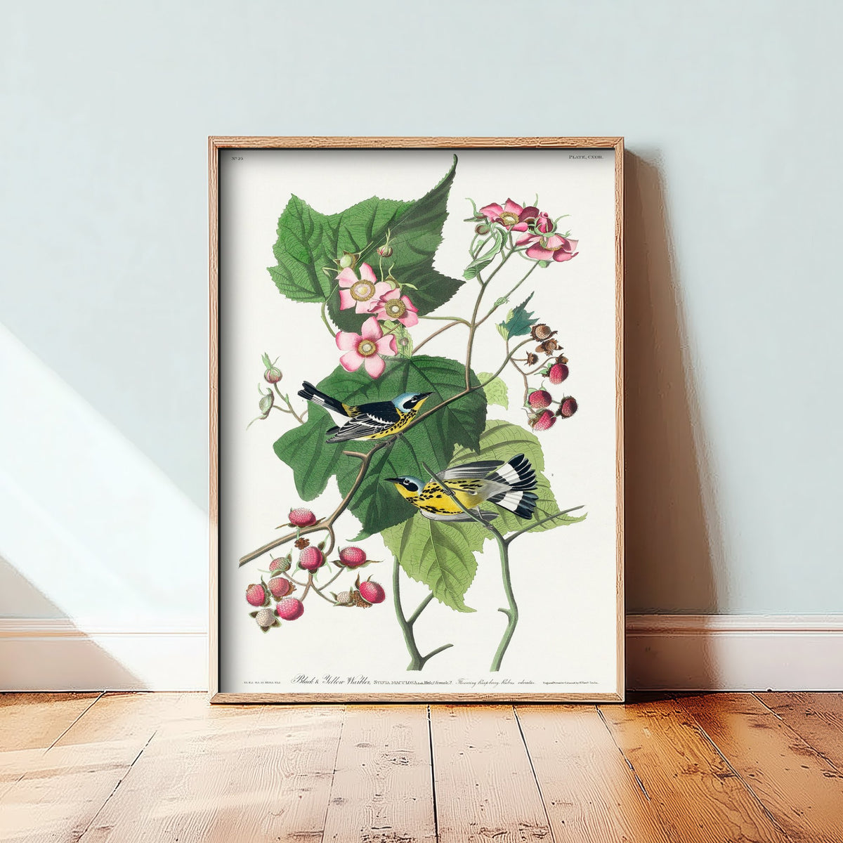 Magnolia Warbler Pair Art Print - John James Audubon Poster - Birds of America Vintage Illustration