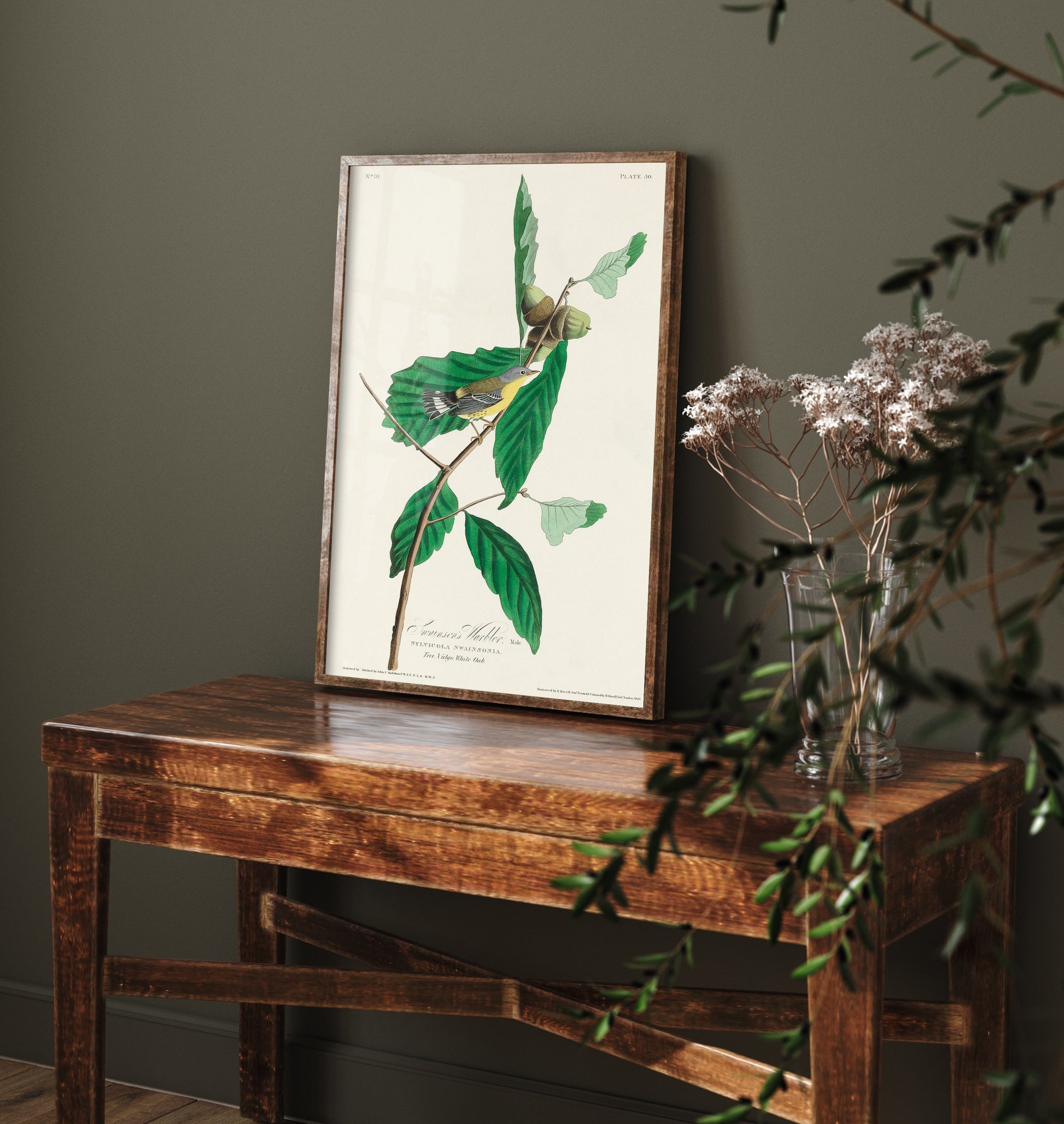 Magnolia Warbler Male Art Print - John James Audubon Poster - Birds of America Vintage Illustration