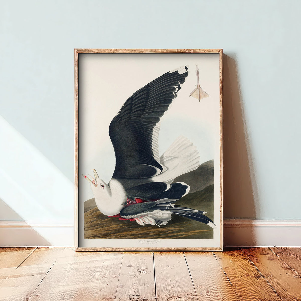 Great Black-backed Gull Art Print - John James Audubon Poster - Birds of America Vintage Illustration