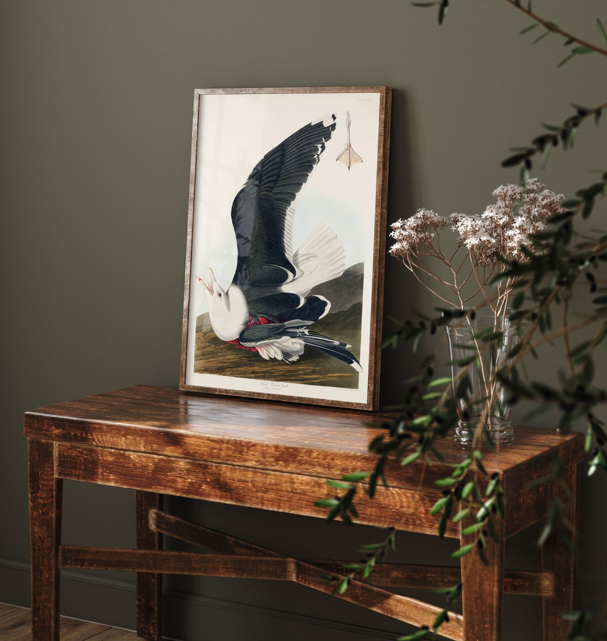 Great Black-backed Gull Art Print - John James Audubon Poster - Birds of America Vintage Illustration