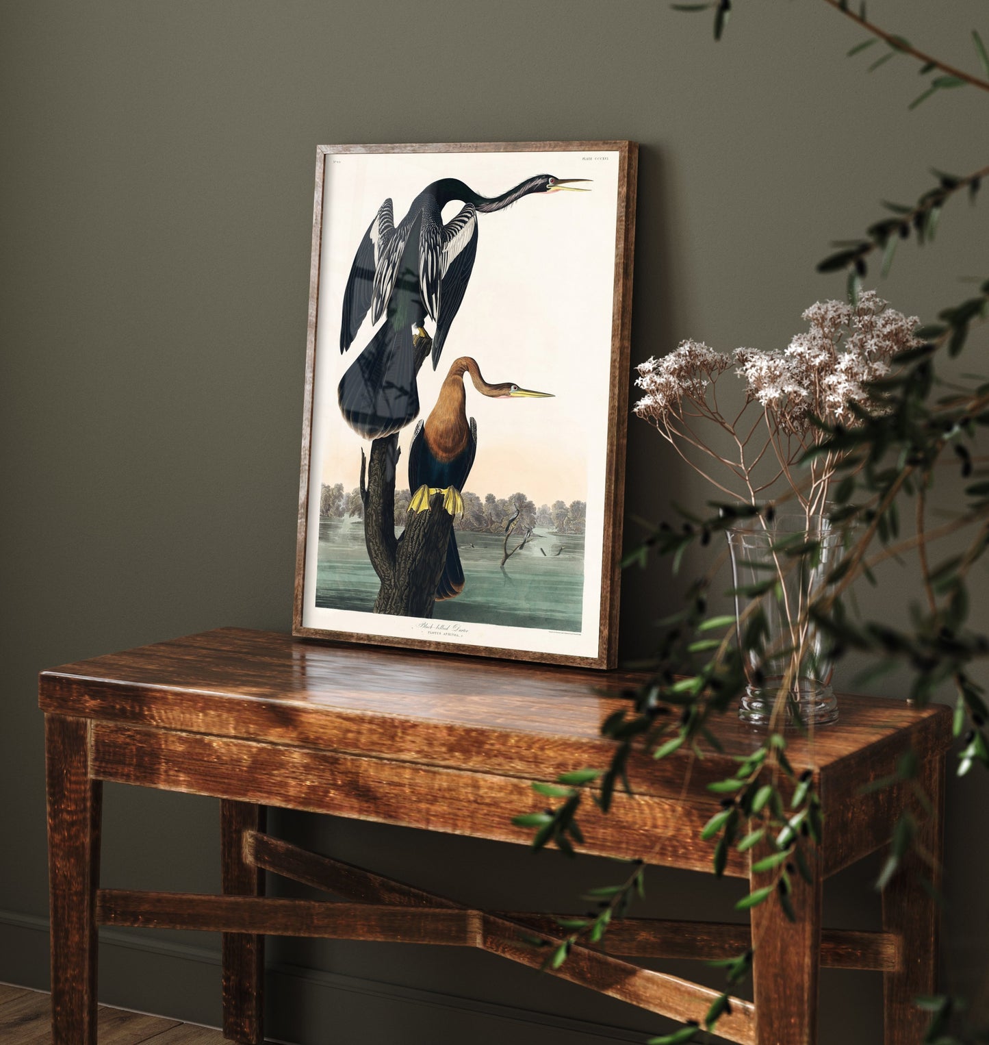 Anhinga Art Print - John James Audubon Poster - Birds of America Vintage Illustration