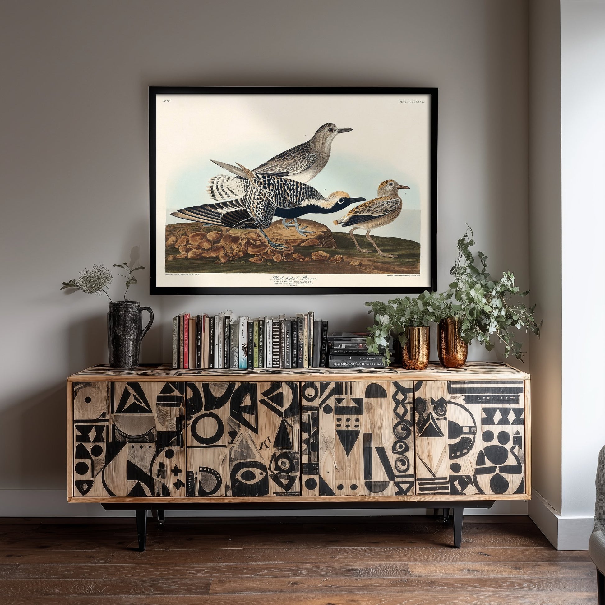 Black-bellied Plover Art Print - John James Audubon Poster - Birds of America Vintage Illustration