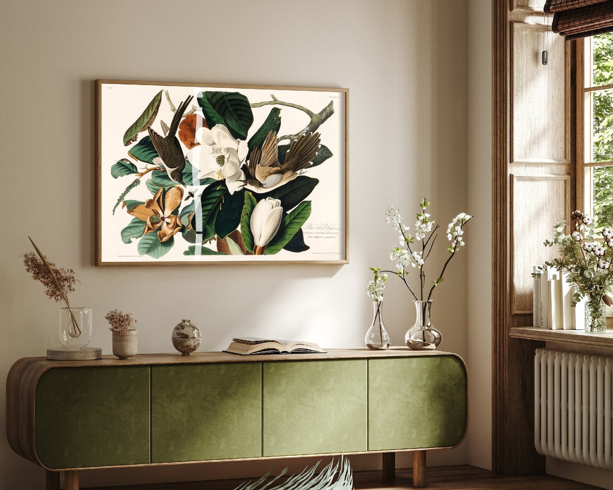 Black-billed Cuckoo Art Print - John James Audubon Poster - Birds of America Vintage Illustration